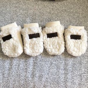 UGG Sherpa Dog Booties in Birch